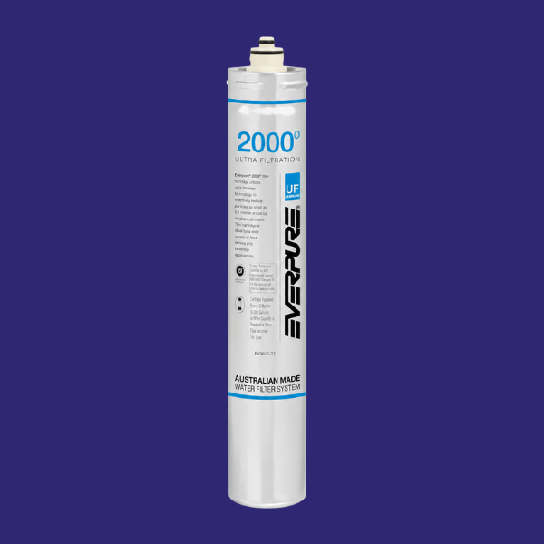 Everpure i2000(2) EV9612-22 Replacement Filter cartridge