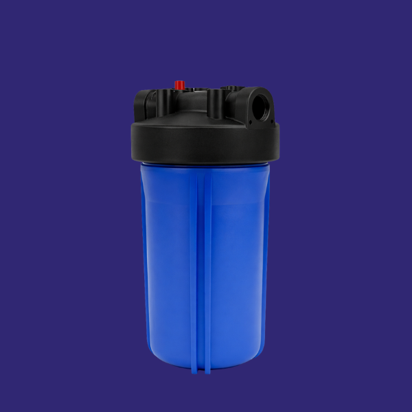 Boîtier de filtre à sac de 10 pouces 1 pouce avec 2 filtres