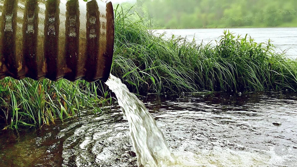 Why We All Need to Care About the UK’s Water Quality