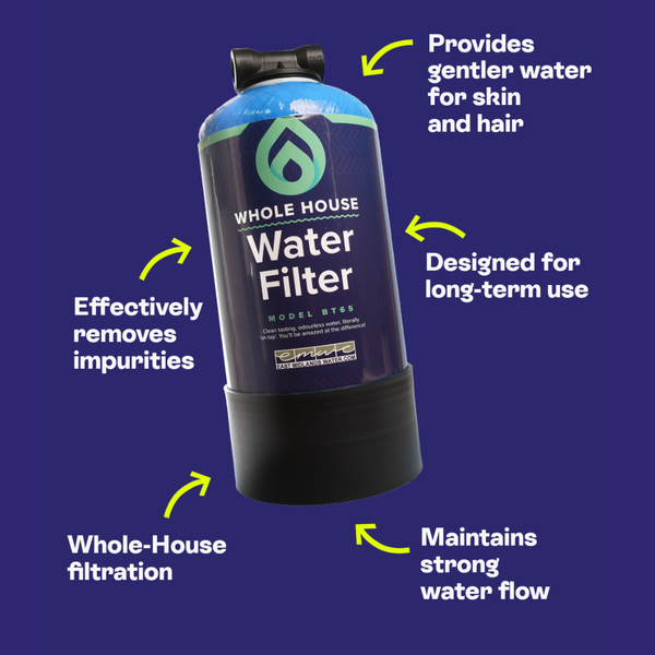 3 Year Whole House Filter BT65