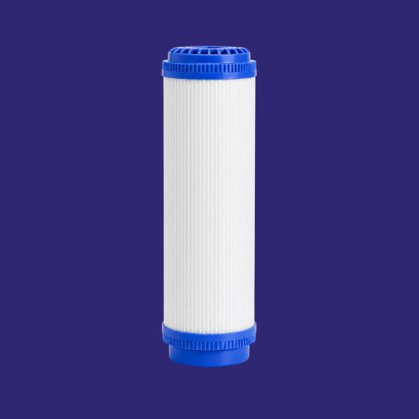 10 inch GAC Filter Insert (GAC10E)