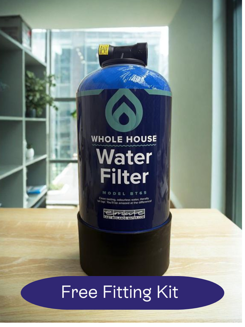 3 Year Whole House Filter BT65